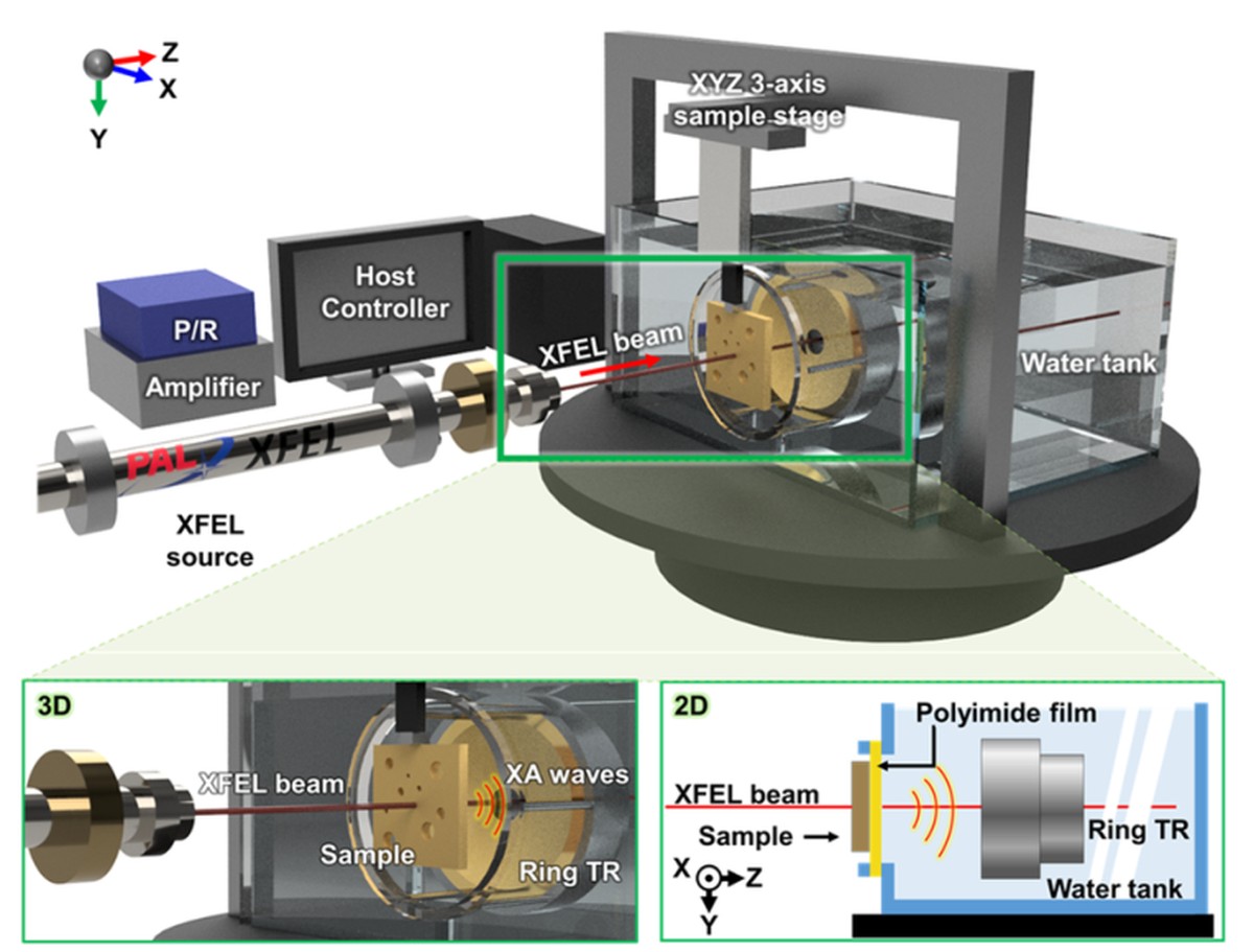 X-ray free-electron laser induced acoustic microscopy system